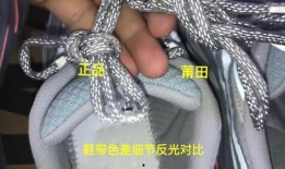 小椰子被爆料视频大全集,揭秘背后真相与争议